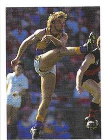 1991 Select AFL Stickers #242 Chris Mainwaring Front